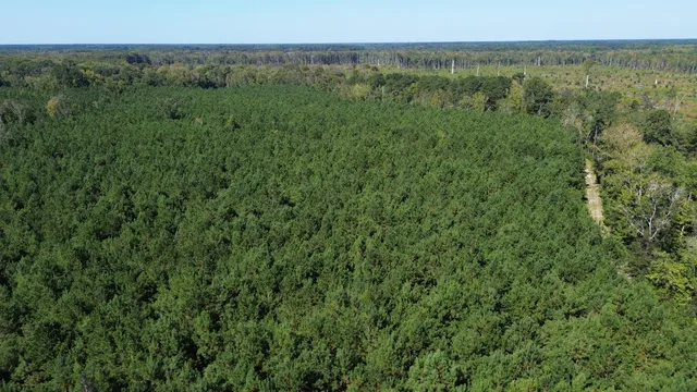 $1,200,000 | 0 Lowcountry Highway, Ruffin, SC 29475