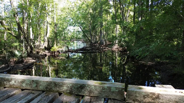 $1,200,000 | 0 Lowcountry Highway, Ruffin, SC 29475