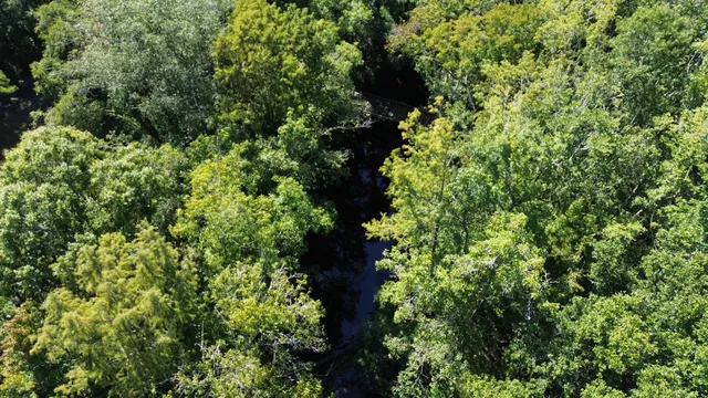 $1,200,000 | 0 Lowcountry Highway, Ruffin, SC 29475