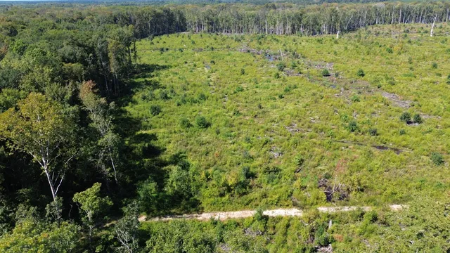 $1,200,000 | 0 Lowcountry Highway, Ruffin, SC 29475