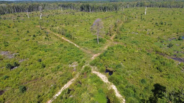 $1,200,000 | 0 Lowcountry Highway, Ruffin, SC 29475