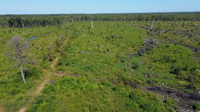 $1,200,000 | 0 Lowcountry Highway, Ruffin, SC 29475