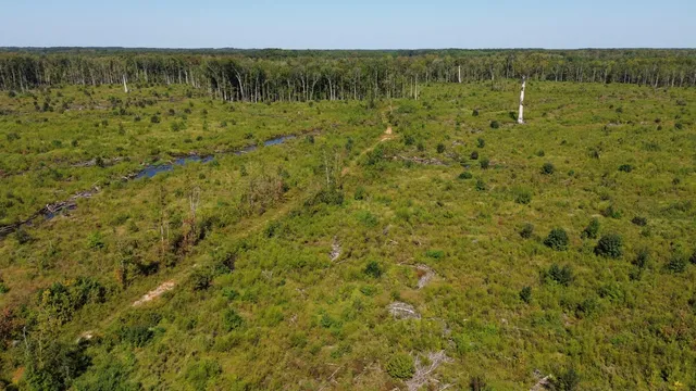 $1,200,000 | 0 Lowcountry Highway, Ruffin, SC 29475