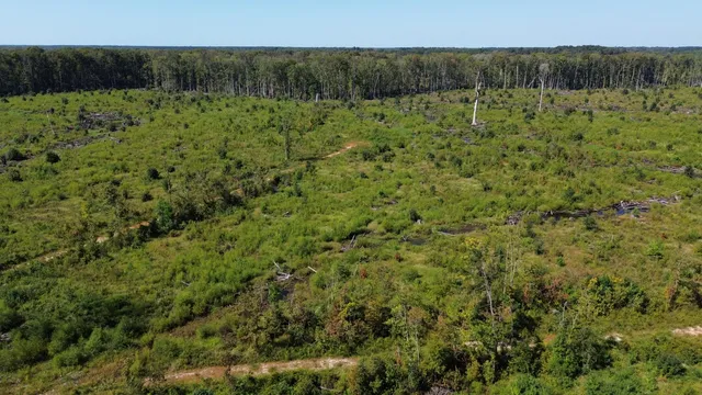 $1,200,000 | 0 Lowcountry Highway, Ruffin, SC 29475