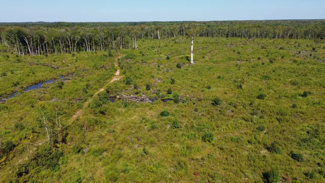 $1,200,000 | 0 Lowcountry Highway, Ruffin, SC 29475