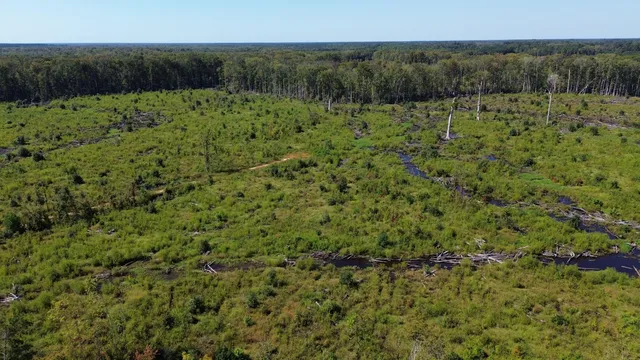 $1,200,000 | 0 Lowcountry Highway, Ruffin, SC 29475