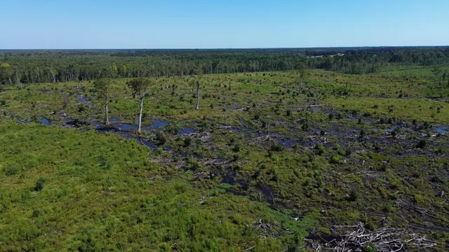 $1,200,000 | 0 Lowcountry Highway, Ruffin, SC 29475