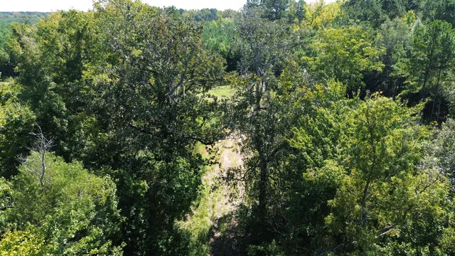 $1,200,000 | 0 Lowcountry Highway, Ruffin, SC 29475