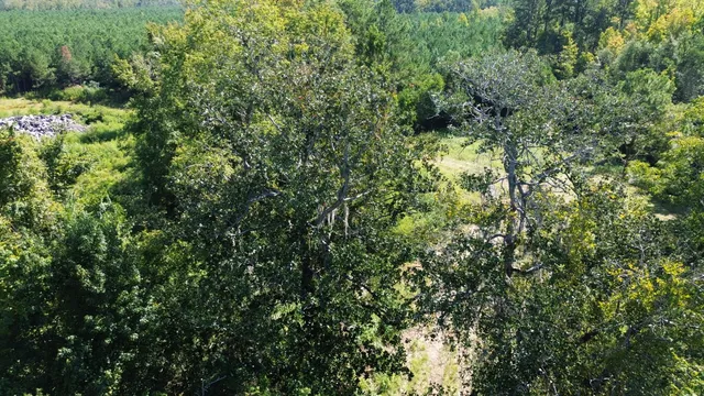 $1,200,000 | 0 Lowcountry Highway, Ruffin, SC 29475