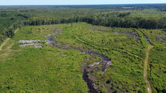 $1,200,000 | 0 Lowcountry Highway, Ruffin, SC 29475