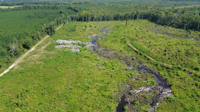 $1,200,000 | 0 Lowcountry Highway, Ruffin, SC 29475