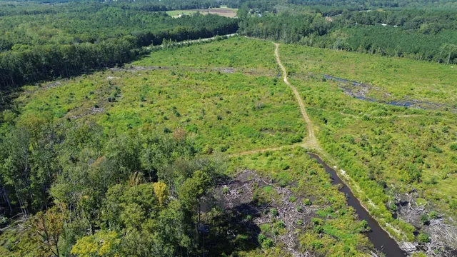 $1,200,000 | 0 Lowcountry Highway, Ruffin, SC 29475