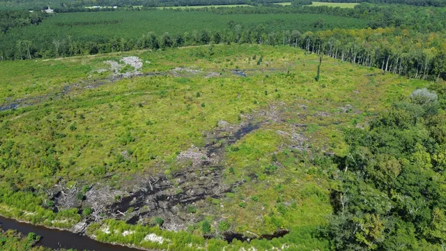 $1,200,000 | 0 Lowcountry Highway, Ruffin, SC 29475