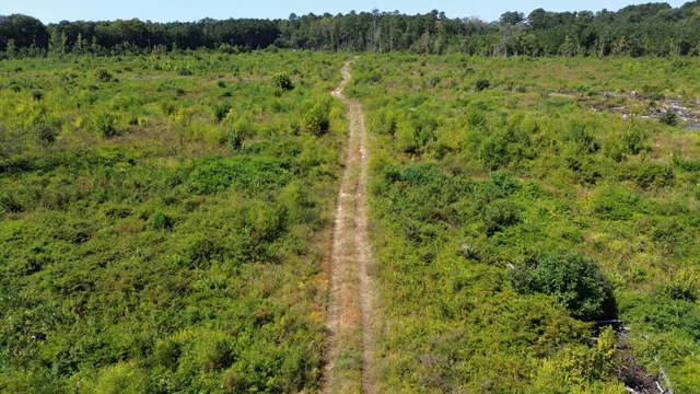 $1,200,000 | 0 Lowcountry Highway, Ruffin, SC 29475