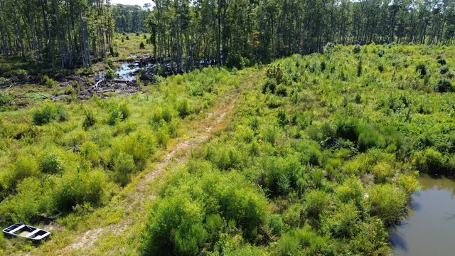 $1,200,000 | 0 Lowcountry Highway, Ruffin, SC 29475
