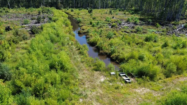 $1,200,000 | 0 Lowcountry Highway, Ruffin, SC 29475