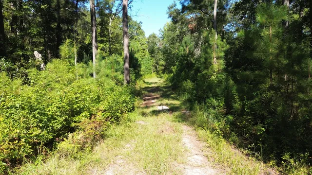 $1,200,000 | 0 Lowcountry Highway, Ruffin, SC 29475