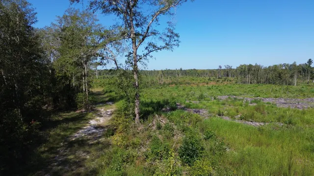 $1,200,000 | 0 Lowcountry Highway, Ruffin, SC 29475