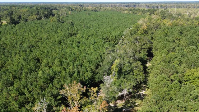 $1,200,000 | 0 Lowcountry Highway, Ruffin, SC 29475