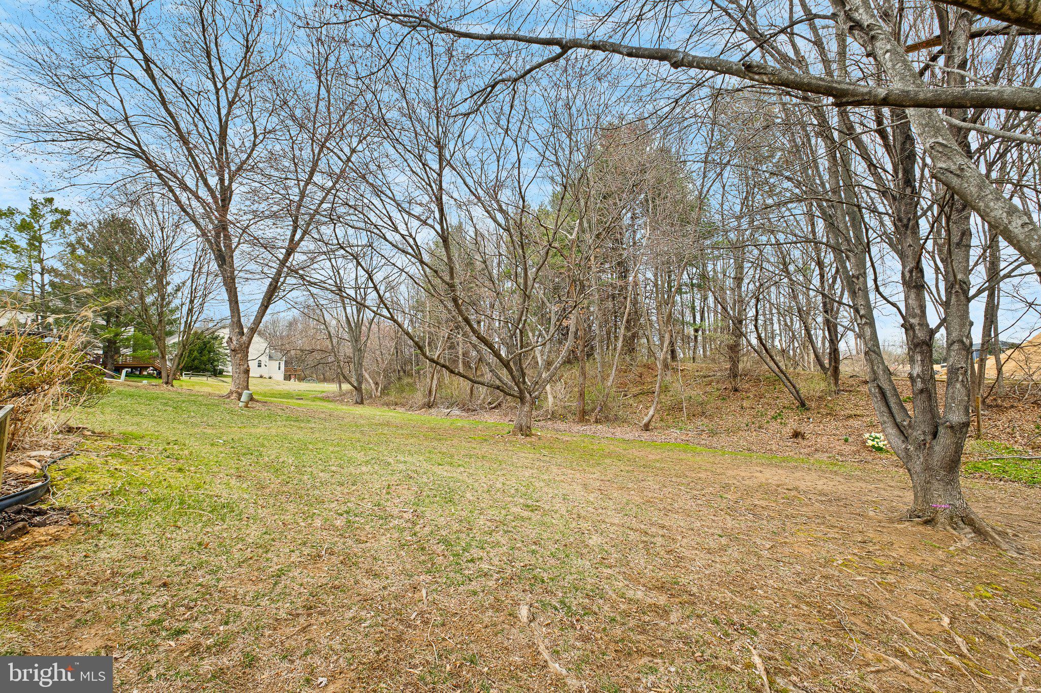 163 Cambridge Circle, Unit 78 Kennett Square, PA 19348 - Photo 15 of 30 a view of yard with trees