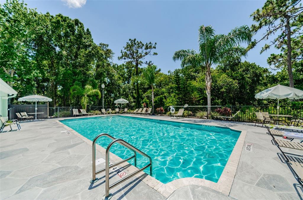 8525 Shallow Creek Court New Port Richey, FL 34653 - Photo 55 of 59