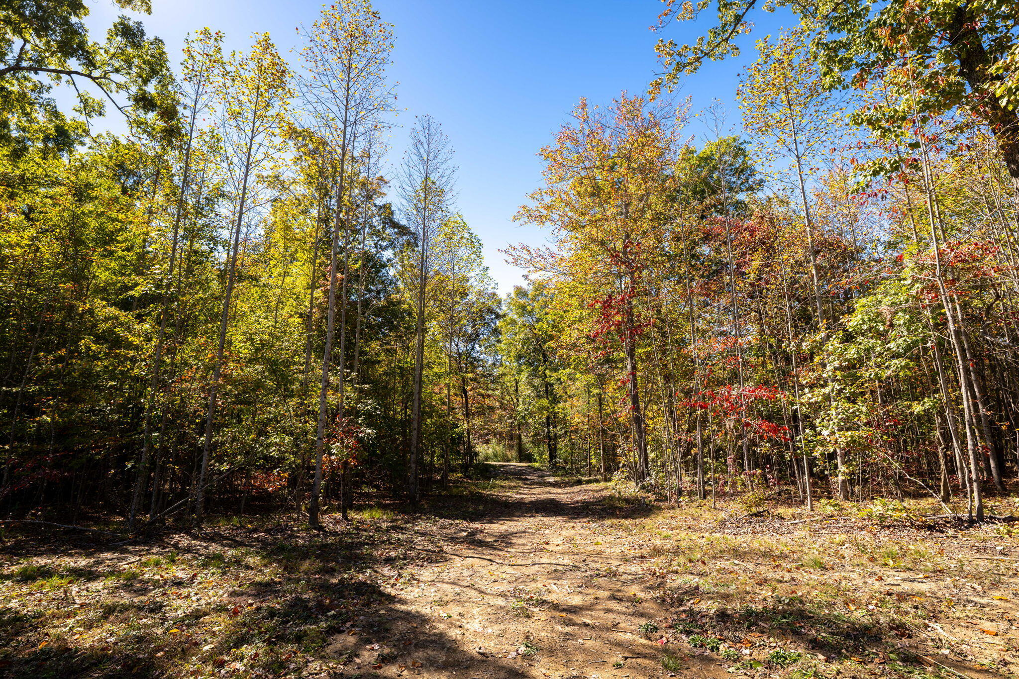 482 Coke Bowman Road Soddy-Daisy, TN 37379 - Photo 26 of 27 26-web-or-mls-DSC_5842-143