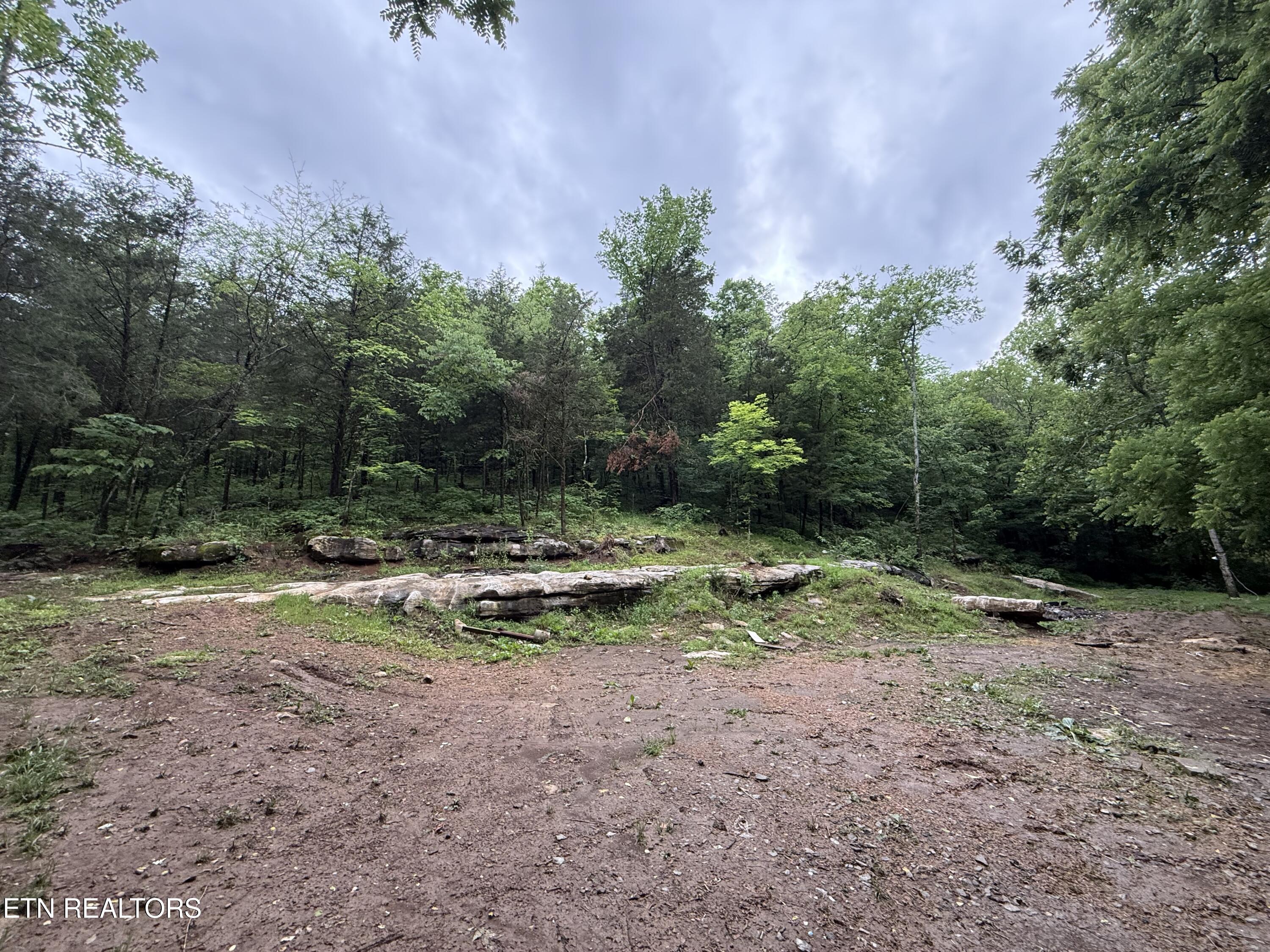 940 Riley Creek Road Whitleyville, TN 38588 - Photo 21 of 30 IMG_6433