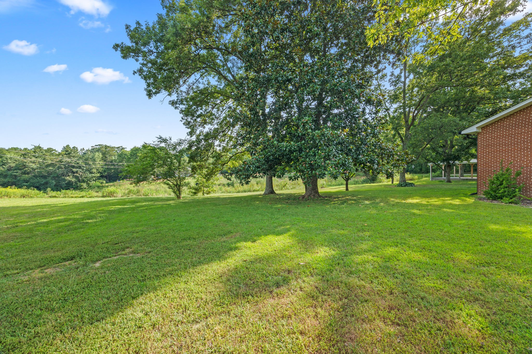 6510 Clemons Ridge Road Silver Point, TN 38582 - Photo 34 of 44 a view of grassy field with benches and trees all around