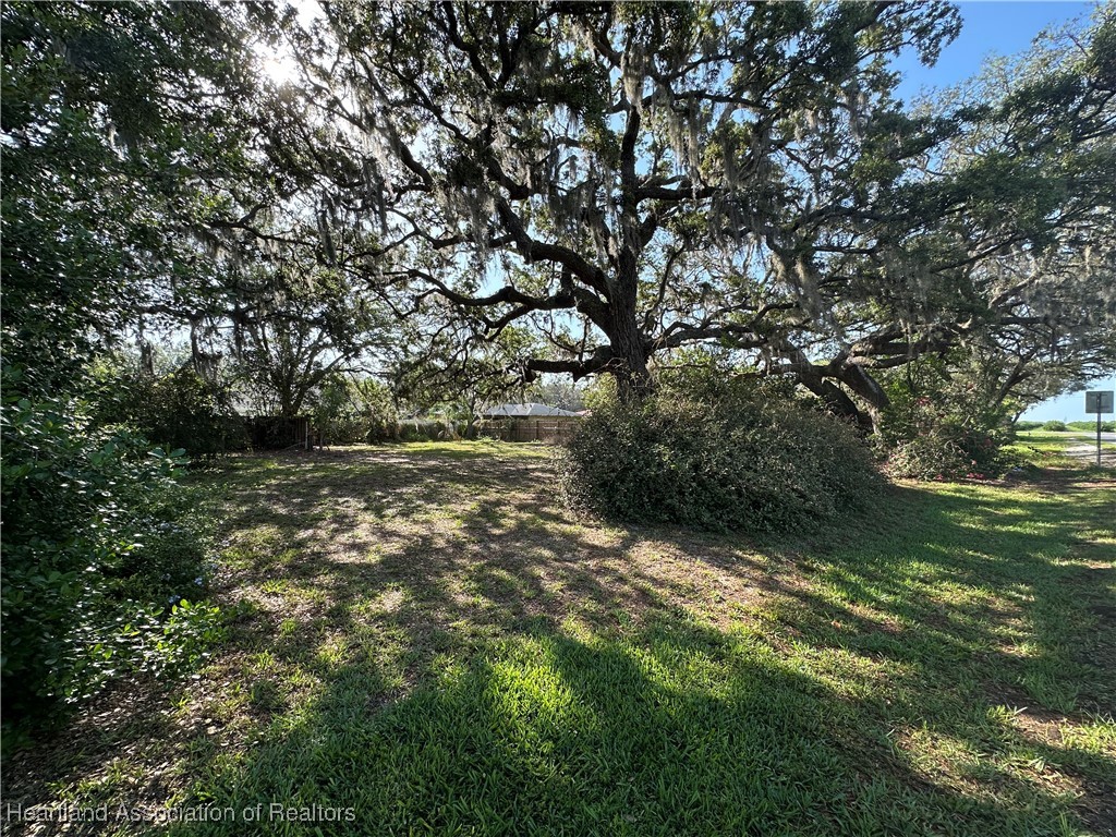 1780 North Taconic Road Avon Park, FL 33825 - Photo 4 of 18 Back yard