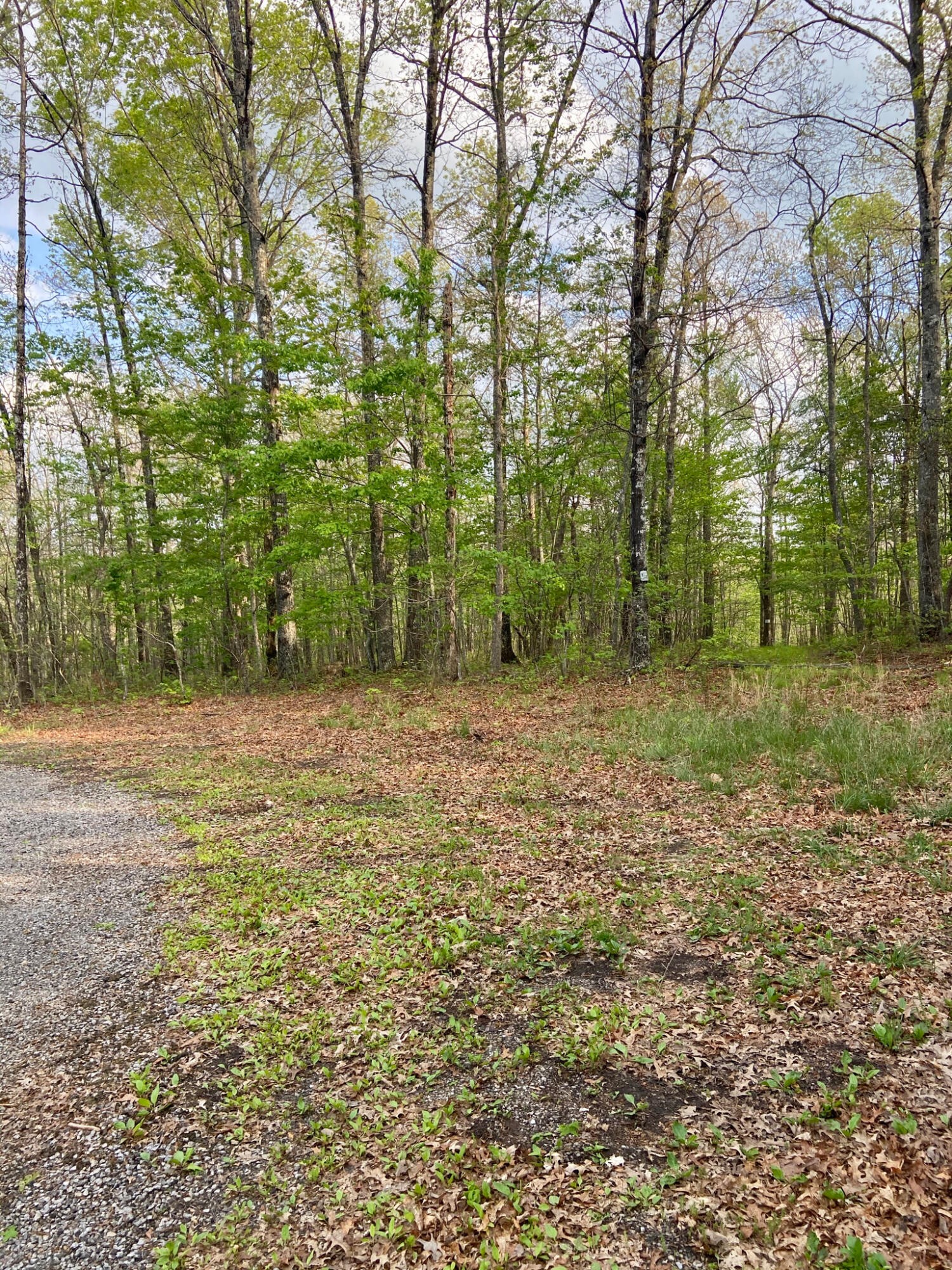 0 Laurel Ridge Dunlap, TN 37327 - Photo 3 of 9 Gallery Image 3