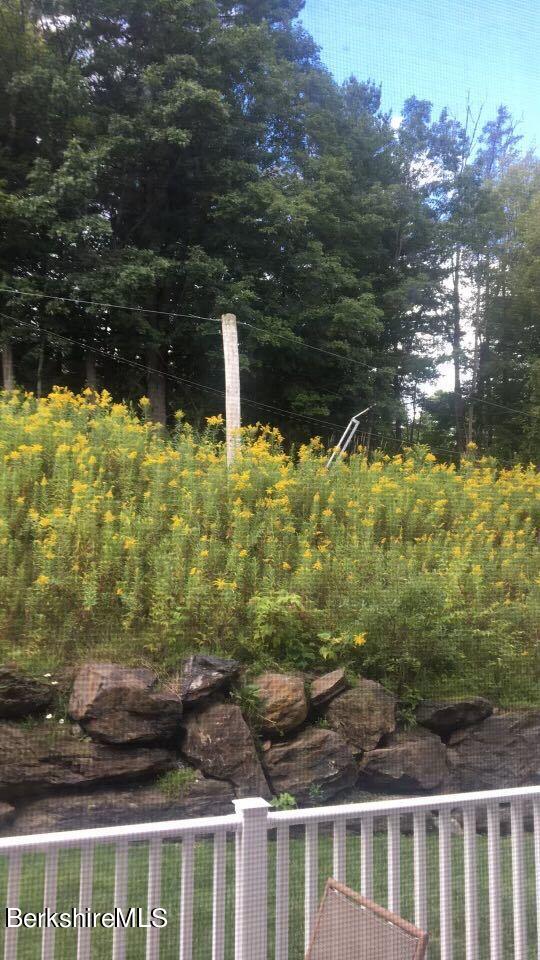 22 Alpine Trail Pittsfield, MA 01201 - Photo 31 of 35 a view of a yard