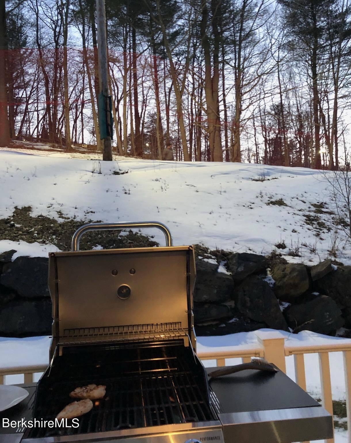 22 Alpine Trail Pittsfield, MA 01201 - Photo 34 of 35 a close view of stove and oven