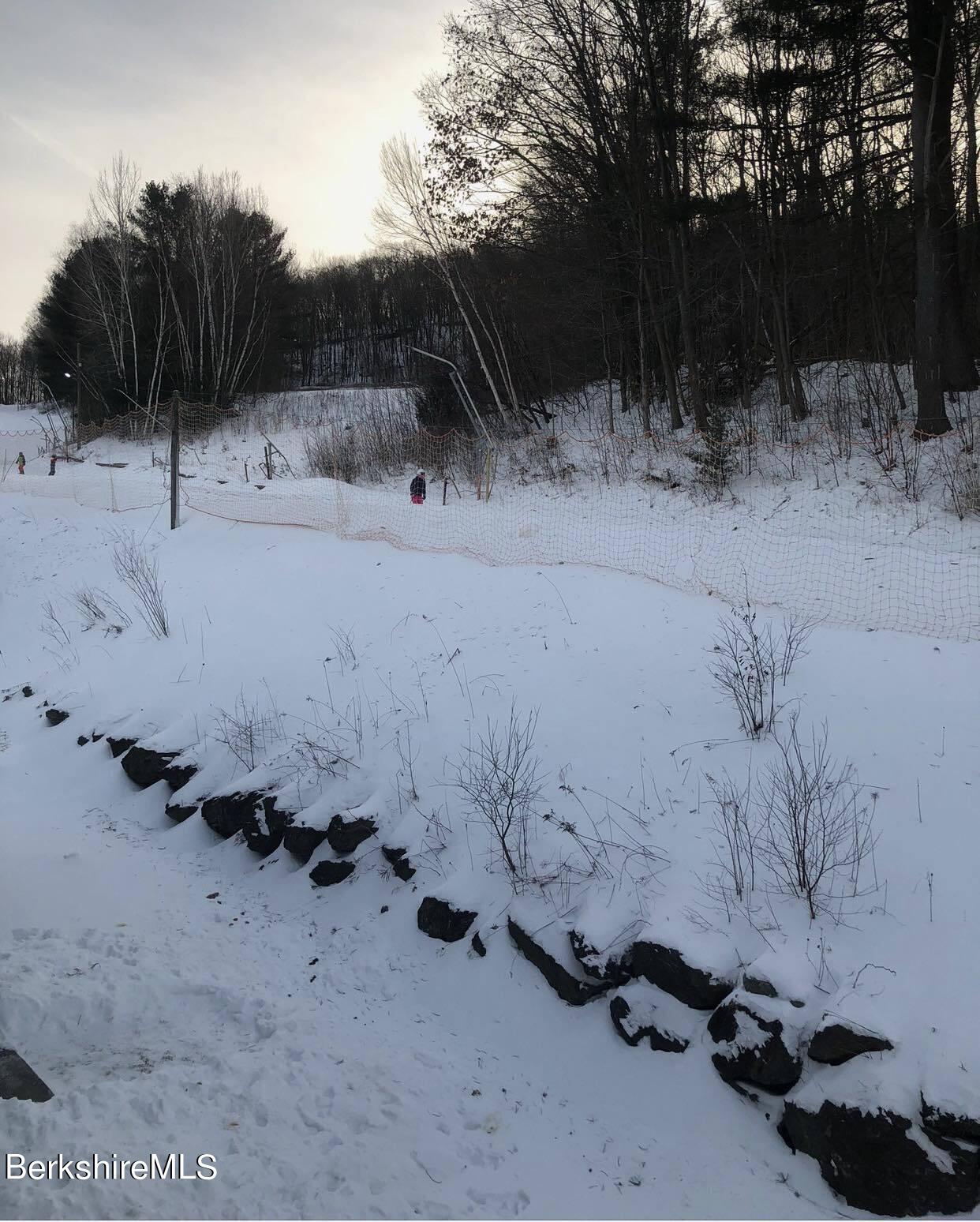 22 Alpine Trail Pittsfield, MA 01201 - Photo 35 of 35 a view of a dry yard with trees in the background