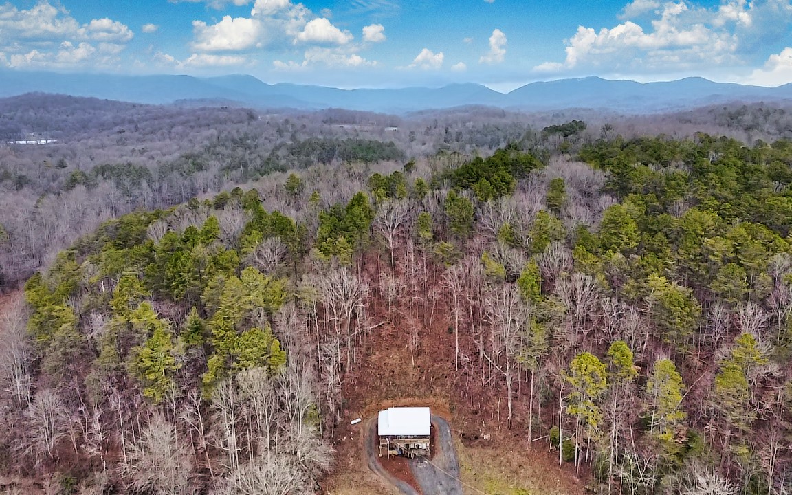 1640 East New Hope Road Ellijay, GA 30536 - Photo 6 of 44 Additional View