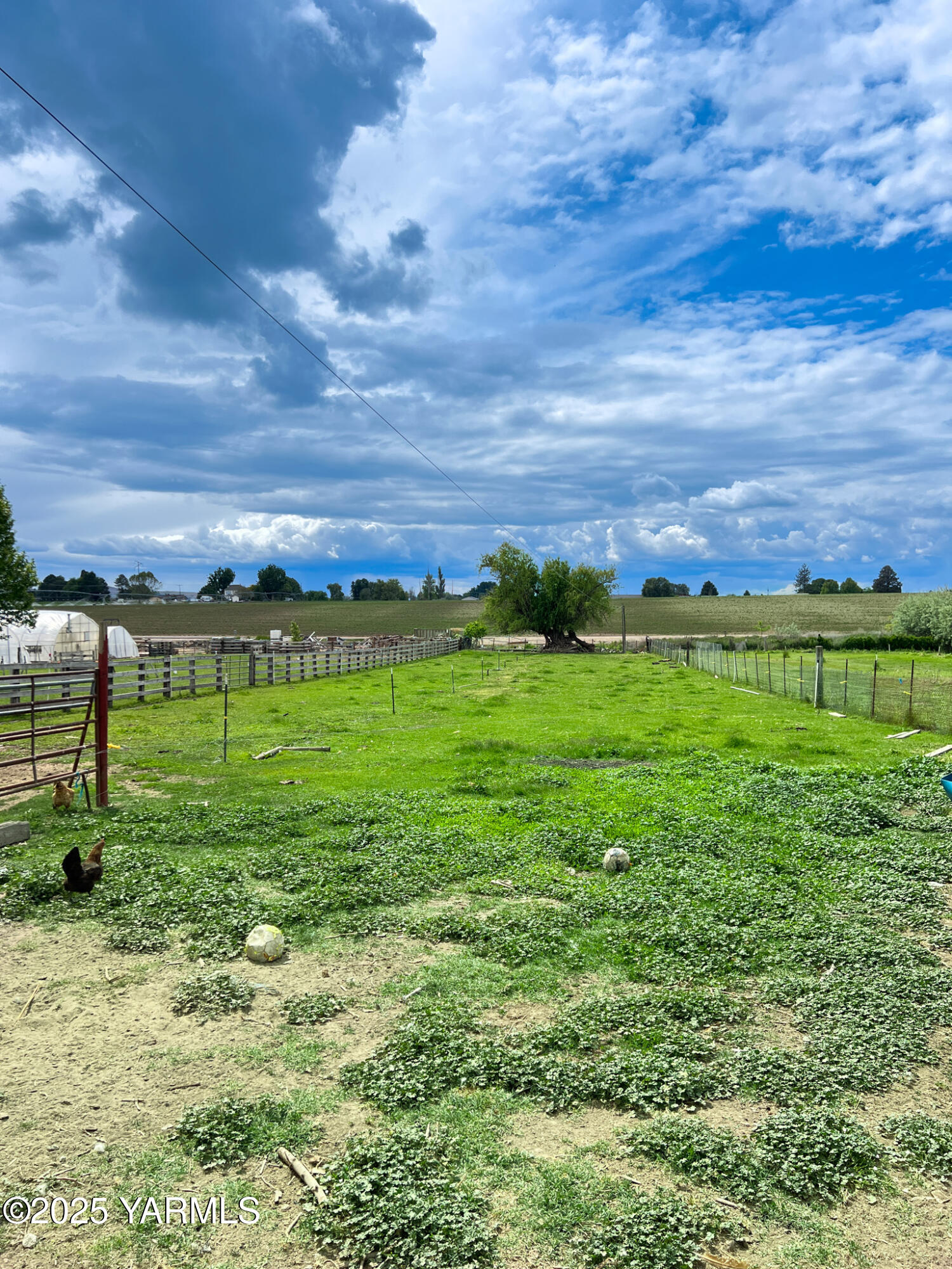 1341 Cemetery Road Sunnyside, WA 98944 - Photo 7 of 18 a view of a grassy field with trees