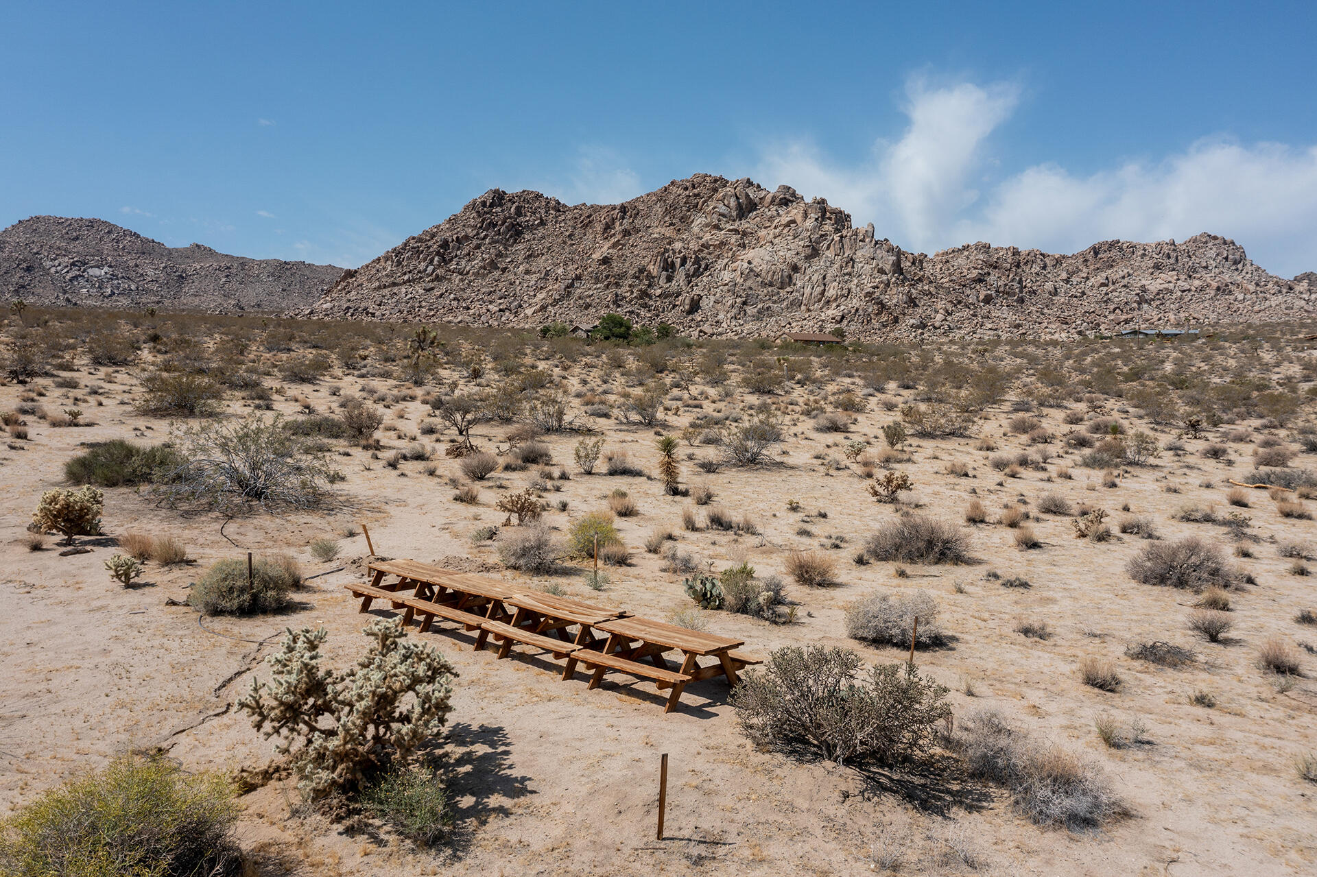 7122 Sunkist Road Joshua Tree, CA 92252 - Photo 6 of 61 img-6