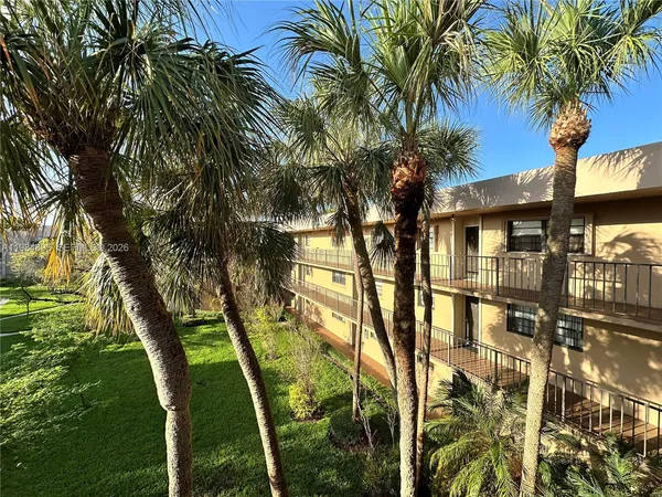 a view of a yard with palm trees
