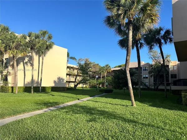 a view of a yard with a palm trees