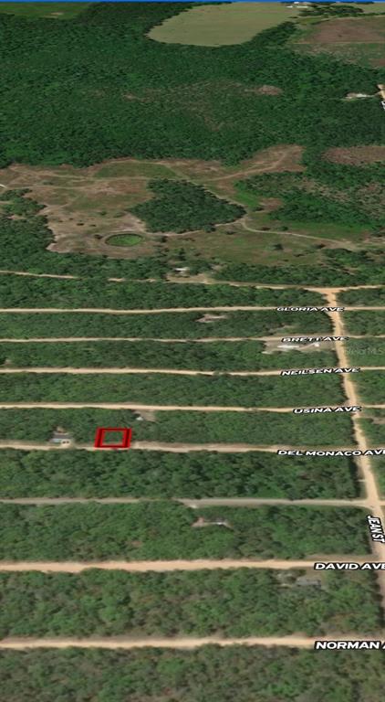 28 Del Monaco Avenue Interlachen, FL 32148 - Photo 2 of 5 a view of a tennis court