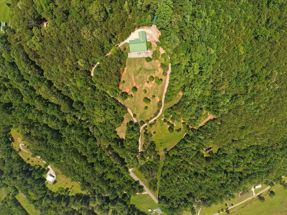 810 Belltown Road Tellico Plains, TN 37385 - Photo 48 of 53