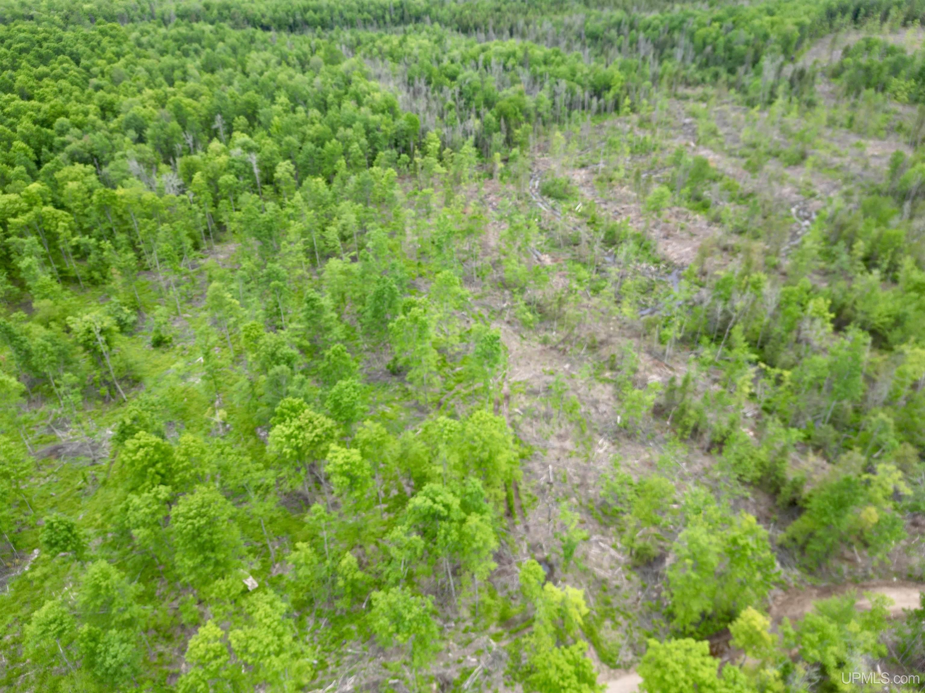 3601 Cr444 Road Rock, MI 49880 - Photo 51 of 78