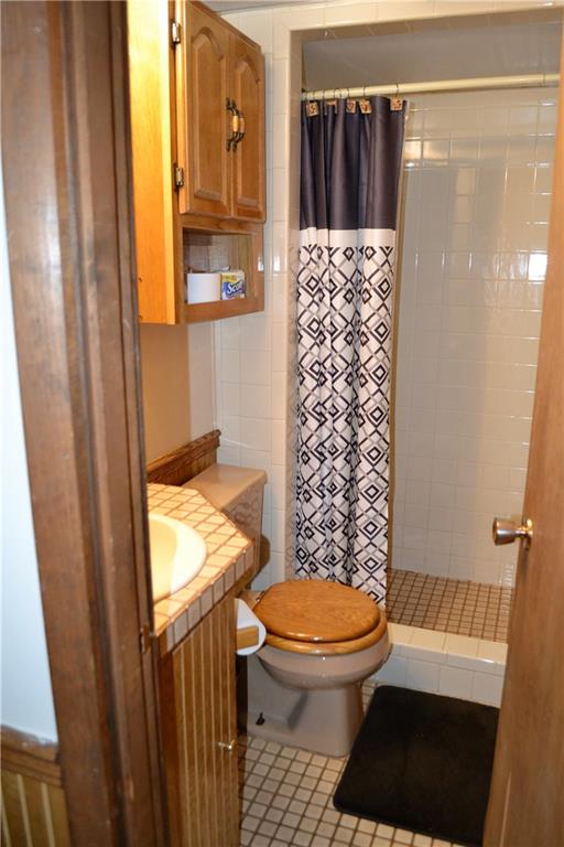 1129 Cheese Run Road Indiana, PA 15701 - Photo 19 of 25 a bathroom with a toilet and a shower curtain