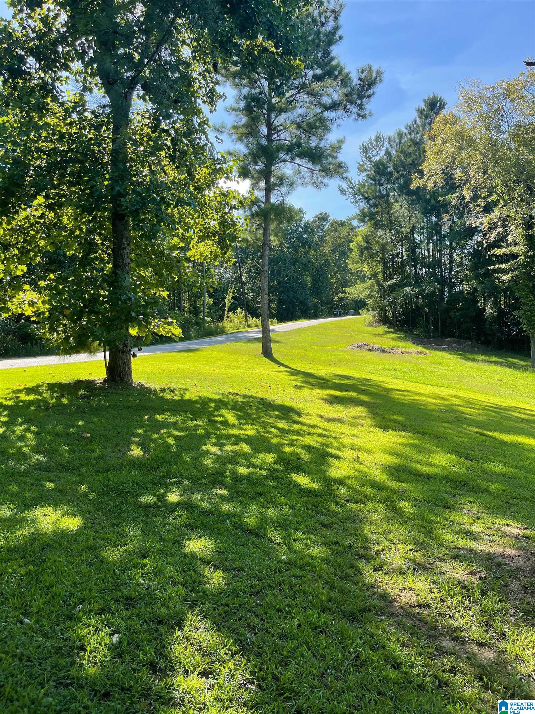 1 Ridge Drive Shelby, AL 35143 - Photo 2 of 5