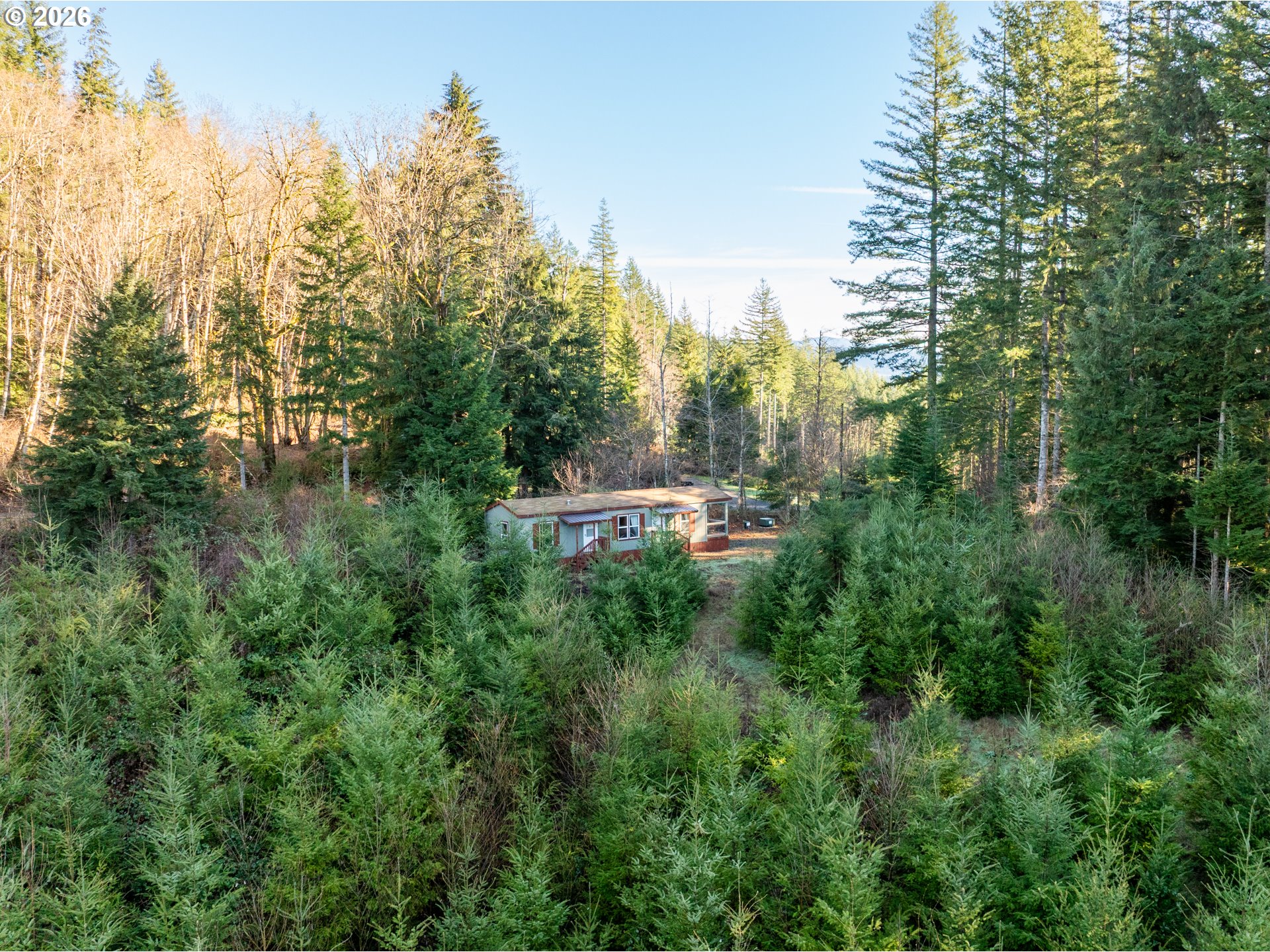 43902 Northeast Columbia Tie Road Amboy, WA 98601 - Photo 11 of 21