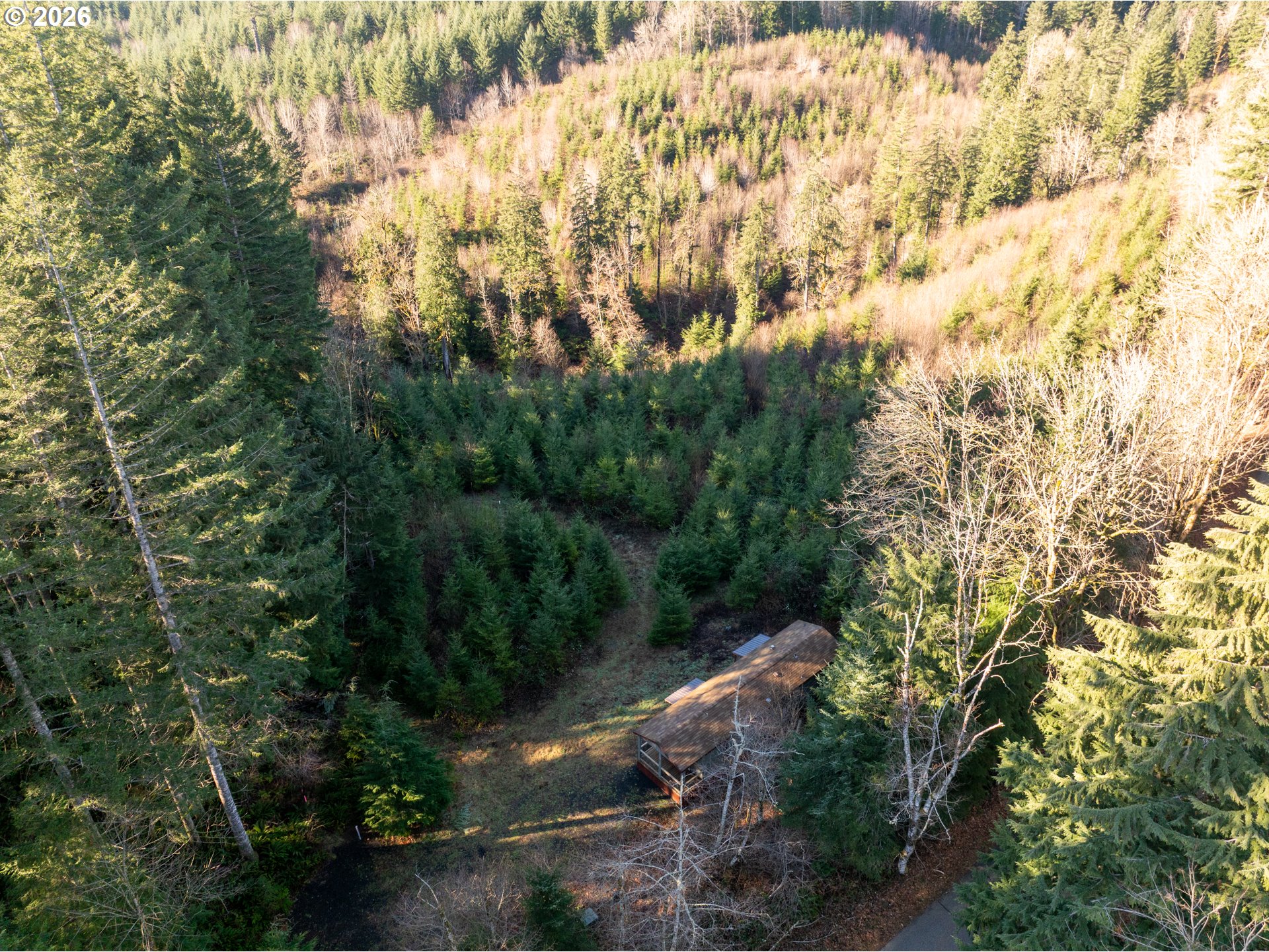 43902 Northeast Columbia Tie Road Amboy, WA 98601 - Photo 12 of 21