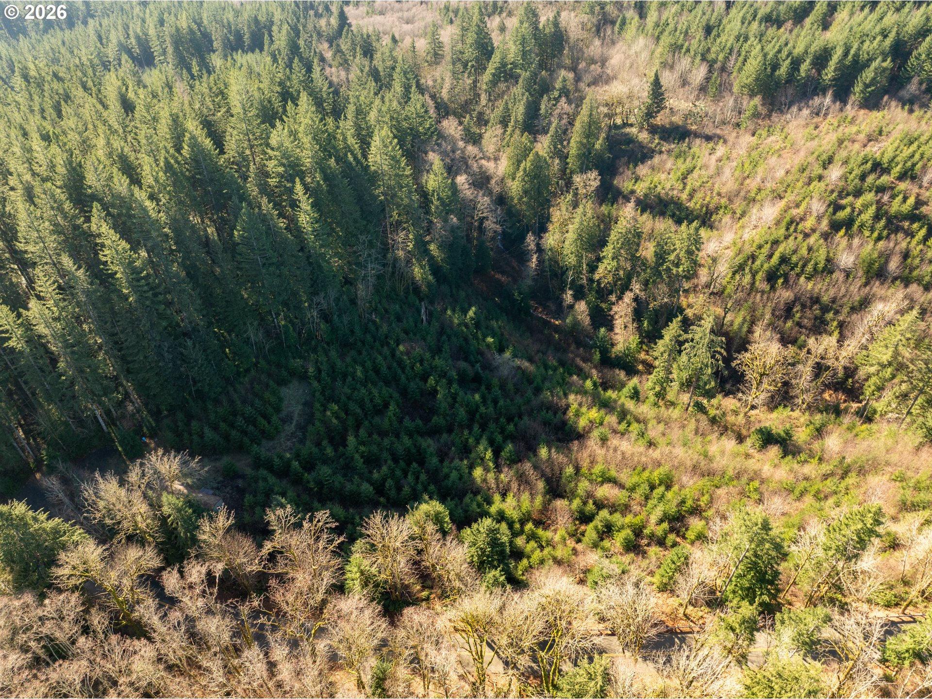 43902 Northeast Columbia Tie Road Amboy, WA 98601 - Photo 14 of 21