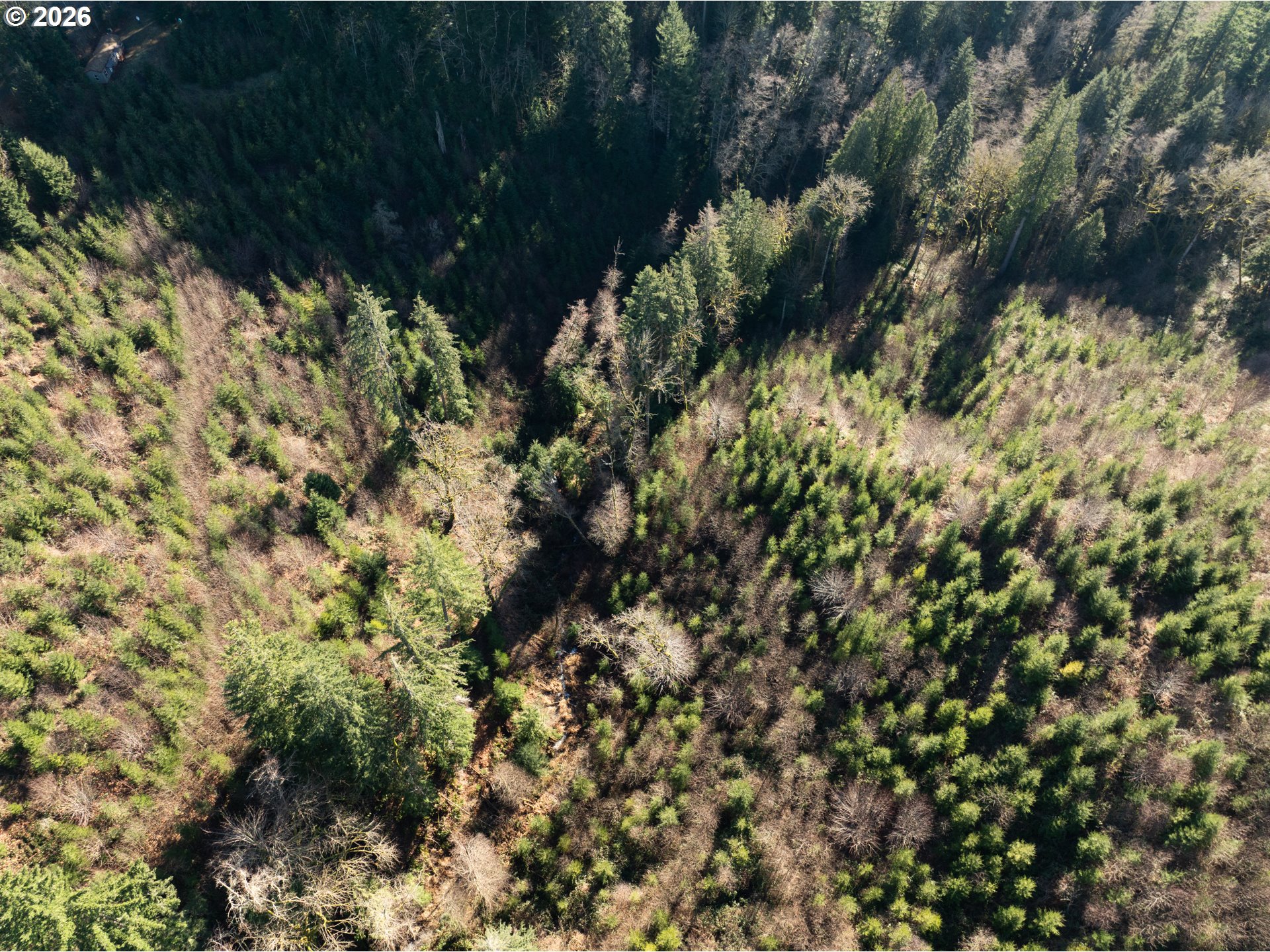 43902 Northeast Columbia Tie Road Amboy, WA 98601 - Photo 18 of 21