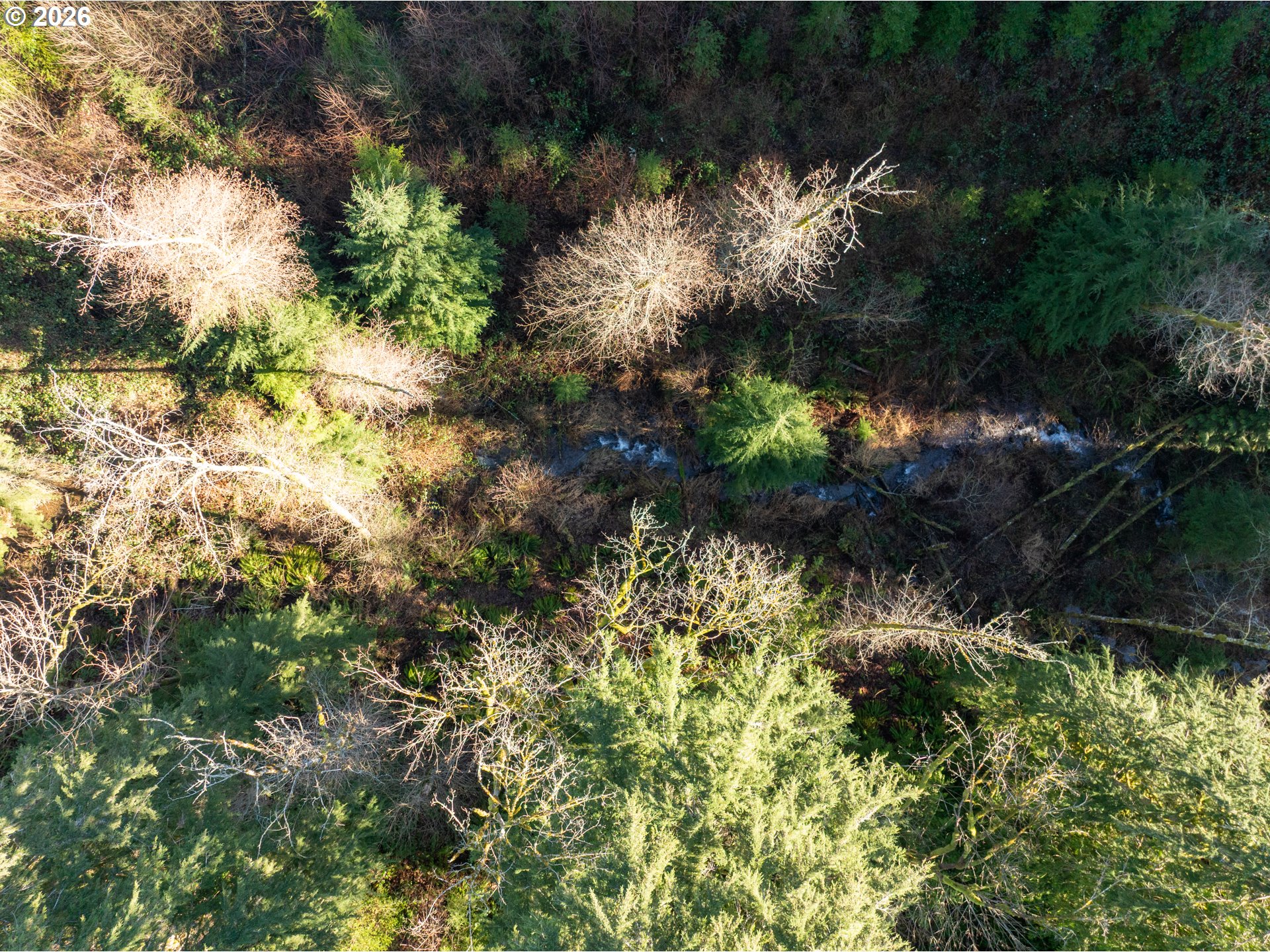 43902 Northeast Columbia Tie Road Amboy, WA 98601 - Photo 20 of 21