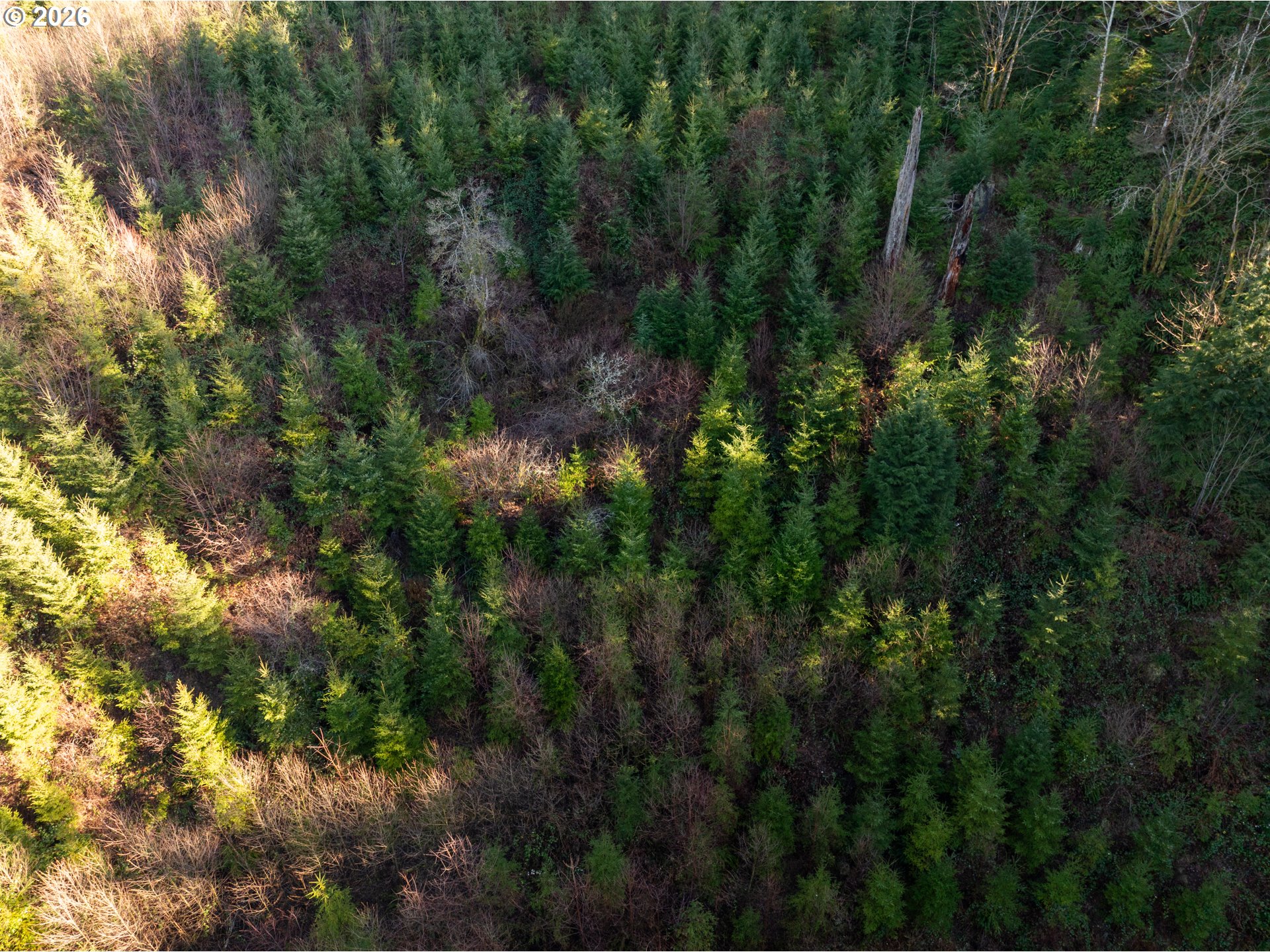 43902 Northeast Columbia Tie Road Amboy, WA 98601 - Photo 21 of 21