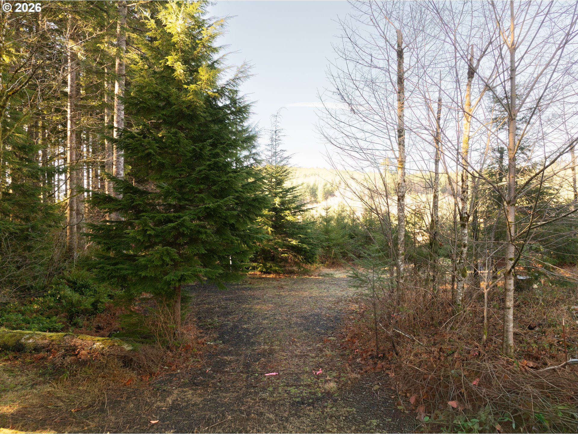 43902 Northeast Columbia Tie Road Amboy, WA 98601 - Photo 10 of 21